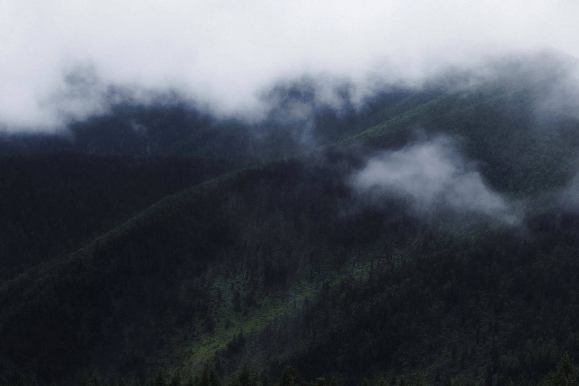 2024年公共卫生培训讲座新政策解读：河北医卫科普中心行动指南