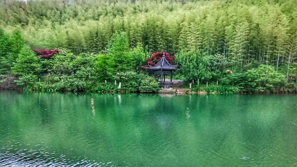 基层健康教育培训中常见误区及专业纠正方法