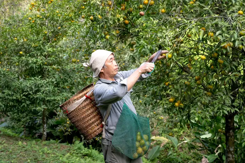 基层健康教育培训讲座的课程设计要点与实施效果评估