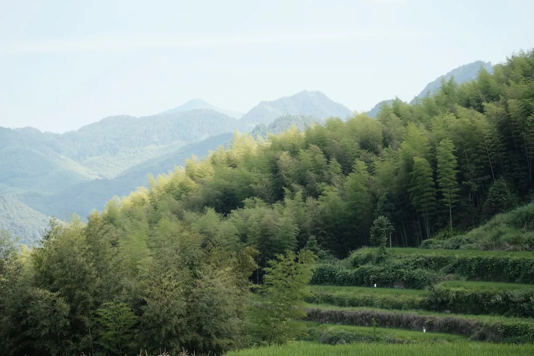 河北省社区健康教育项目实施方案：从需求调研到效果评估的全流程解析