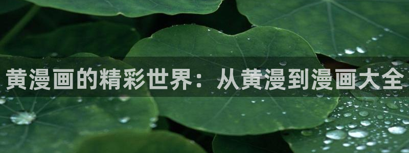 漫蛙2漫画正版免费下载app