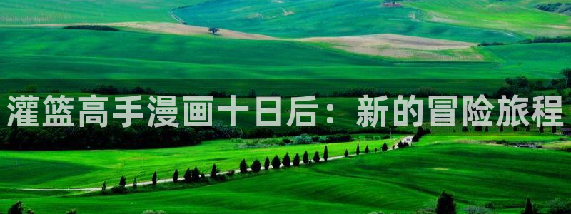 漫蛙网址是什么