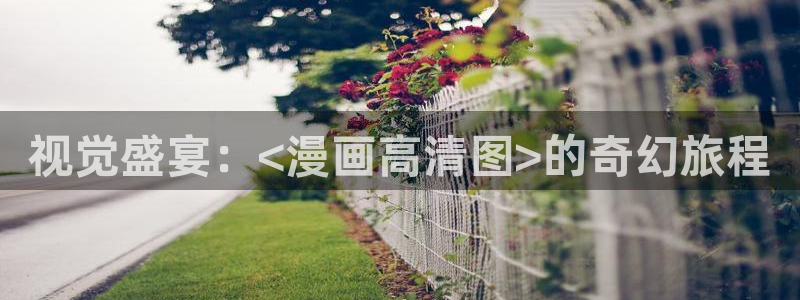 漫蛙漫画正版免费入口