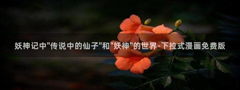 漫蛙 2