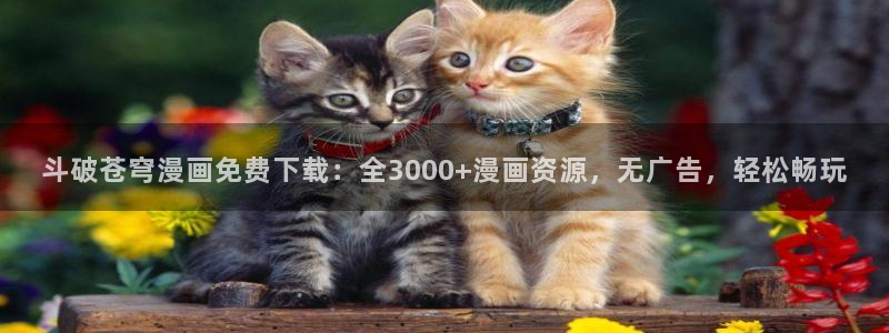 漫蛙漫画正版下载安装最新版本