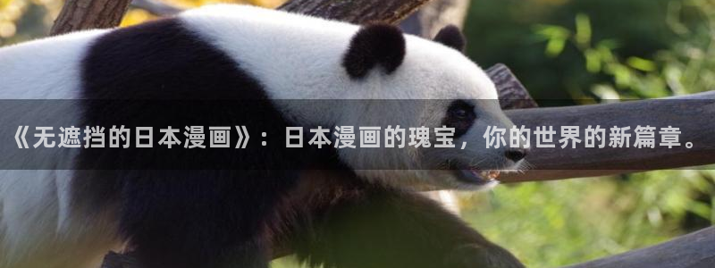 漫蛙在哪里下