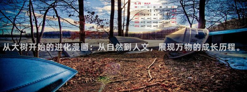 mw777是漫蛙吗