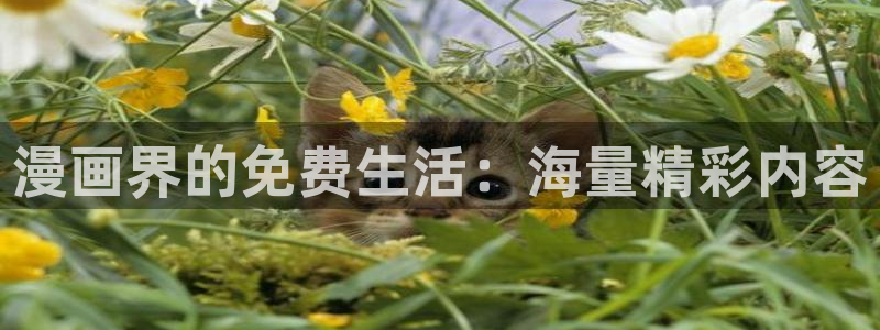 漫蛙漫画app官网下载